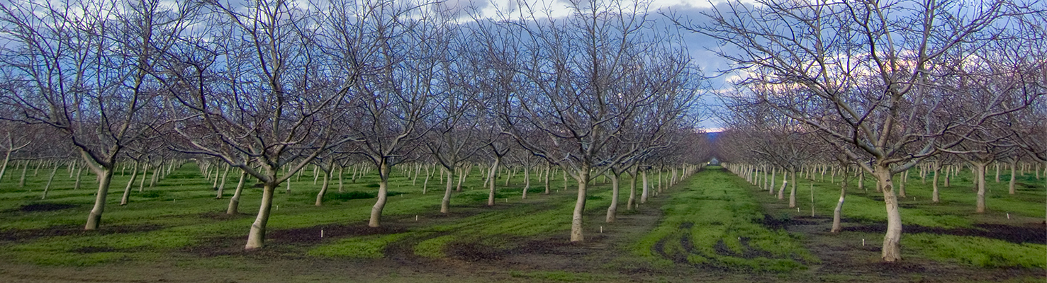 Become a distributor Micron sprayers